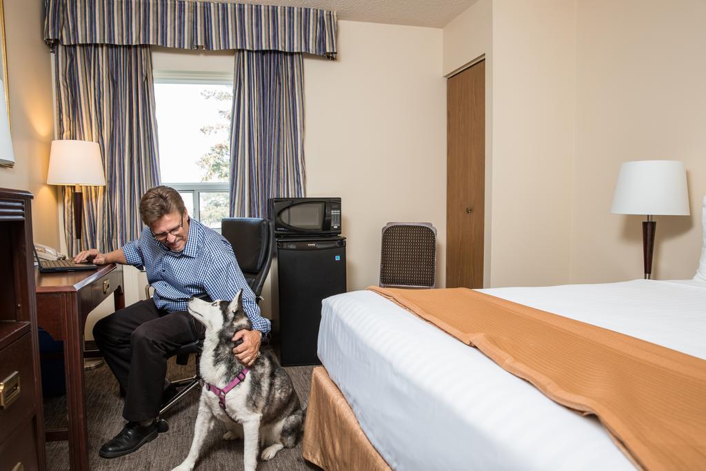 Travelodge By Wyndham Edmonton South Екстер'єр фото